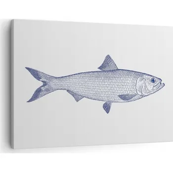 Obraz Obraz na plátně do obývacího pokoje ložnice 70x50 ryba foto obrazy na zeď canvas