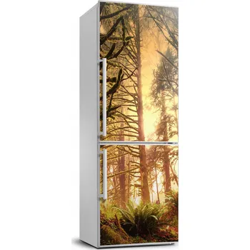 Fototapeta Samolepka Tapeta na lednici Deštný prales 70x190