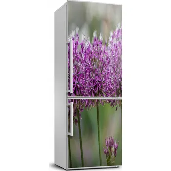 Fototapeta Samolepicí samolepící s dýhou Květy česneku