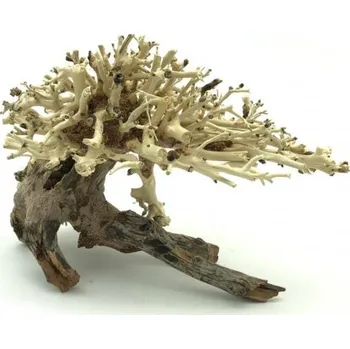 Dekorace do akvária Bonsai Driftwood 20 x 15 x 16 cm č. 10