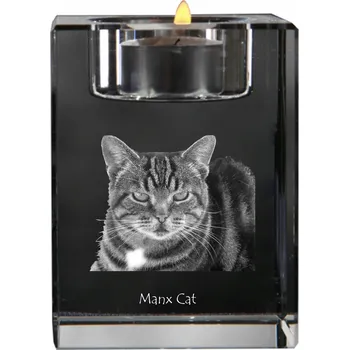 Svícen Manx - svícen s fotografií koně, křišťálový podstavec na čajovou svíčku, perský