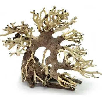 Dekorace do akvária Bonsai Driftwood 20 x 15 x 17 cm č. 82