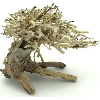 Dekorace do akvária Bonsai Driftwood 15 x 12 x 13 cm č. 13