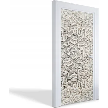 Fototapeta Samolepící nálepka na dveře skříně Korálovec mozkový 95x205 cm