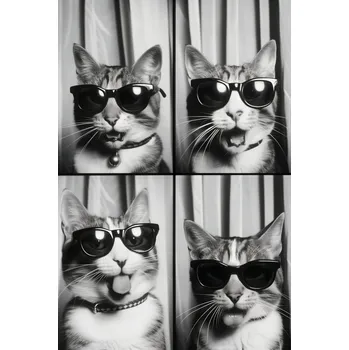 Plakát Plakát Kočičí koketérie bez rámu 61 x 91,5 cm