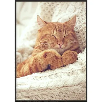 Obraz OBRAZ PLAKÁT V RÁMU 33x43 cm Kočka P1396