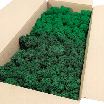 Obraz Sobí mech chrobotek 200g net. ČIŠTĚNÝ finský PREMIUM mix 2