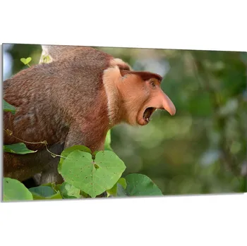 Kuchyňské prkénko Krájecí deska TMK ArtDeko sklo 1 ks