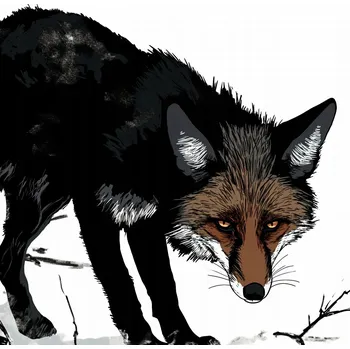 Plakát Plakát Nedůvěřivá Liška bez rámu 70 x 70 cm