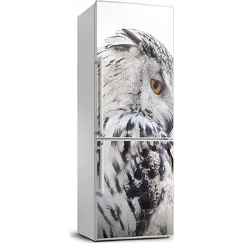 Fototapeta Foto Samolepka na ledničku nebo zeď - Bílá sova