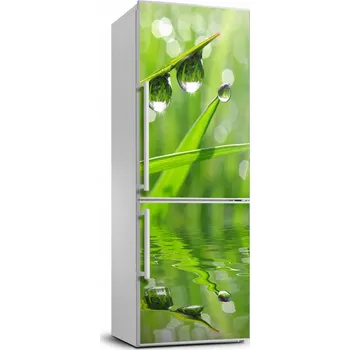 Fototapeta Samolepicí samolepící s dýhou Stébla trávy