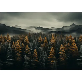 Plakát Plakát Mlhavé ráno bez rámu 66,5 x 46,5 cm