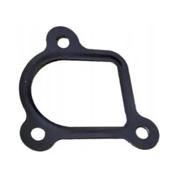 Váha vzduchu MERCEDES DIESEL OM629 Těsnění ventilu EGR