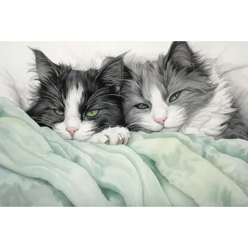 Plakát Plakát Dvě uvolněné kočičky bez rámu 91,5 x 61 cm
