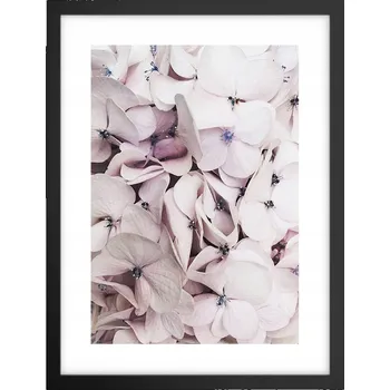 Obraz Obraz plakát v černém rámu do obýváku 30x40 květiny foto plakáty na zeď