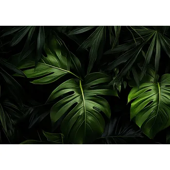 Plakát Plakát Zelený Šepot bez rámu 66,5 x 46,5 cm