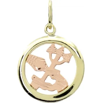 Šperk Zlatý přívěsek znamení zvěrokruhu 30.10.018 VODNÁŘ-2