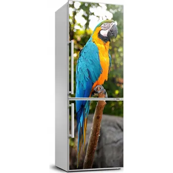 Fototapeta Foto Samolepka na ledničku / na zeď Papoušek Ara