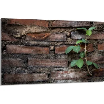 Kuchyňské prkénko Krájecí deska TMK ArtDeko sklo 1 ks