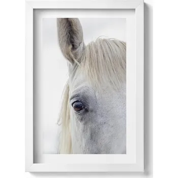 Obraz Dekorace obraz s grafikou v krásném rámu Hlava bílého koně 20x30 cm