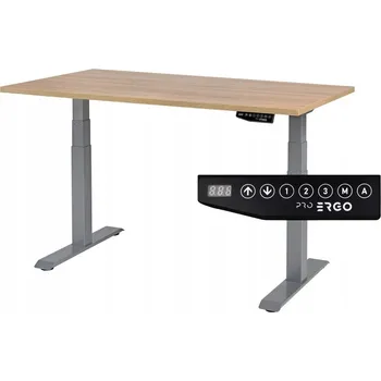 Psací stůl Obdélníkový psací stůl ProErgo 120 x 80 x 126 cm, odstíny šedé