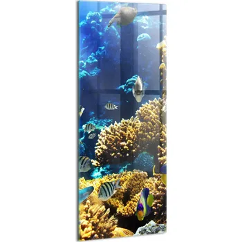 Obraz Skleněný obraz na zeď Premium - Do posilovny - Fotografie ryby na korálovém útesu