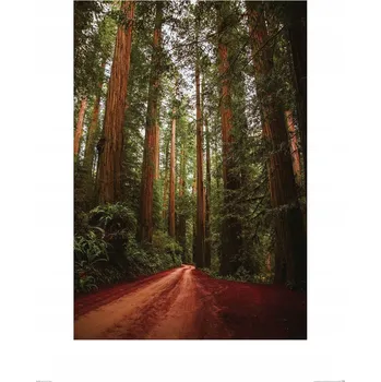 Obraz Plakát Obraz na plátně , Plátno, Obraz bez rámu 60 x 80 cm