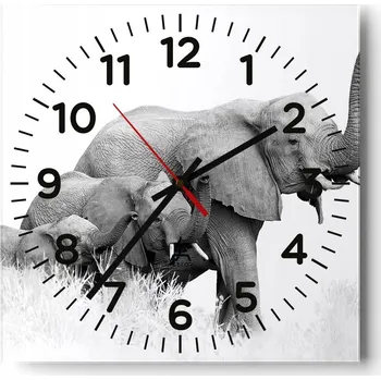 Hodiny Nástěnné hodiny do obýváku 40x40 Zvířata Bezhluczne Skleněné hodiny Tiché
