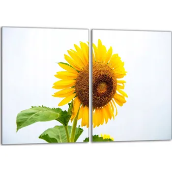 Kuchyňské prkénko Krájecí deska TMK ArtDeko sklo 2 ks