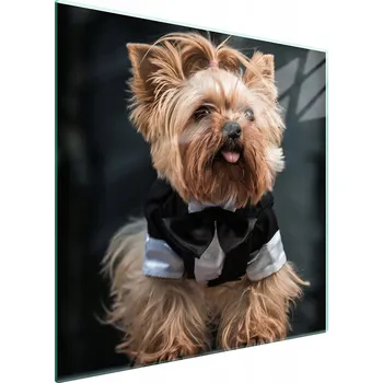 Kuchyňské prkénko Krájecí deska TMK ArtDeko sklo 1 ks