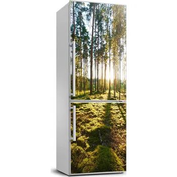 Fototapeta Fototapeta / Nálepka na ledničku – Borový les 70x190 cm