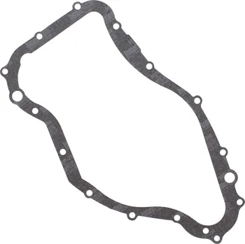 Těsnění motoru Těsnění víka zapalování WINDEROSA ICG 816264 816264