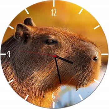 Hodiny Nástěnné hodiny do pokoje KAPYBARA dětské hodiny Dekorace na zeď 30 cm
