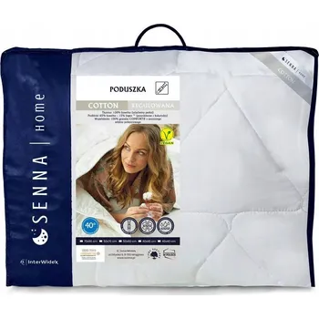 Polštář Spací Polštář Inter-Widex 70 x 50 cm