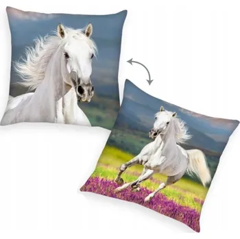 Polštář Polštář 40x40 Kůň Koně Spirit Koníci polštář s koněm poník