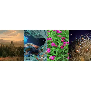 Sešit Sešit A5 s linkami, 96 listů, měkká vazba OkOffice