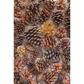 Obraz Plakát Borovicové Šišky bez rámu 61 x 90,5 cm