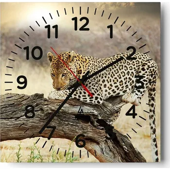 Hodiny Nástěnné hodiny do obýváku 40x40 Zvířata Bezhluczne Skleněné hodiny Tiché