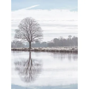 Obraz Plakát Odraz stromu v rybníku bez rámu 30 x 40 cm