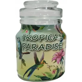 Svíčka Dekorativní parafinová svíčka tropical Adpal