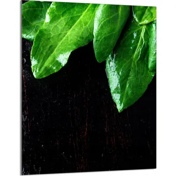 Kuchyňské prkénko Krájecí deska TMK ArtDeko sklo 1 ks