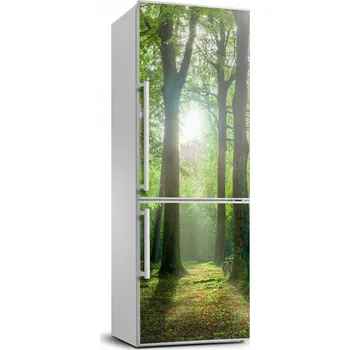 Fototapeta Fototapeta na ledničku Slunce v lese