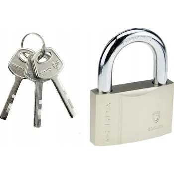 Visací zámek Visací zámek GERDA SECURE Zesílený KSWS S50