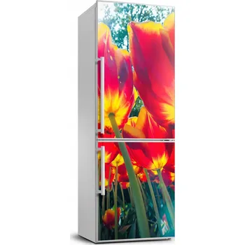 Fototapeta Samolepka, obtisk, fototapeta, lednička tulipány