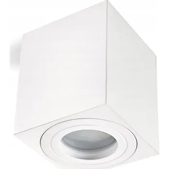 Vodotěsné stropní svítidlo AQUALOCK BÍLÉ