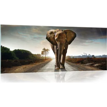 Obraz Skleněný obraz na stěnu moderní slon 3D 125x50 cm