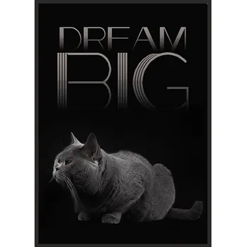 Obraz OBRAZ PLAKÁT V RÁMU 33x43 cm Dream P868