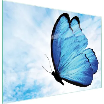 Kuchyňské prkénko Krájecí deska TMK ArtDeko sklo 1 ks