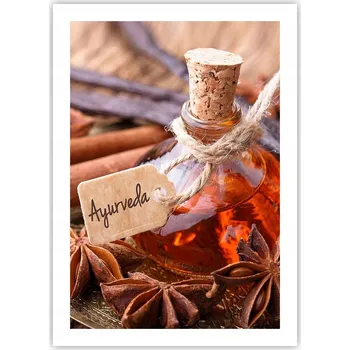 Obraz Plakát bez rámu do obývacího pokoje ložnice 50x70 skořice moderní módní obraz