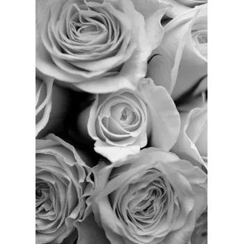 Obraz Plakát Detail kytice růží bez rámu 29,7 x 42 cm